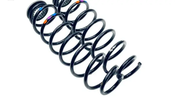 Citroen C4 III e-C4 Rear coil spring 9835940780 9829870880