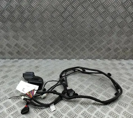 Great Wall Ora 03 Front door wiring loom 4002201XNW13A