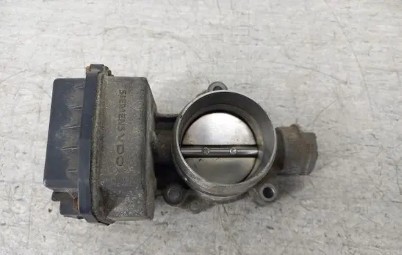 Throttle body valve