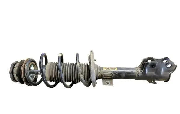 Suzuki Swift III Front shock absorber with coil spring 4160253R00