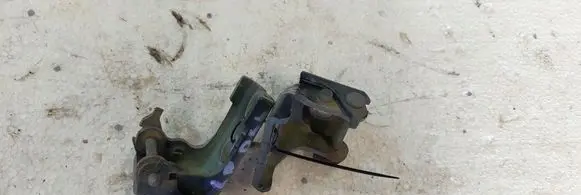 Citroen DS4 Front door hinge set 