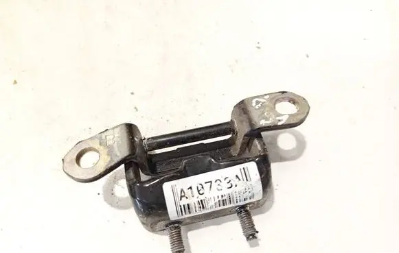 Nissan Murano Z50 Rear door lower hinge