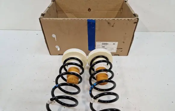 Rear coil spring