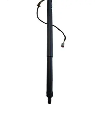 Tailgate/trunk strut/damper