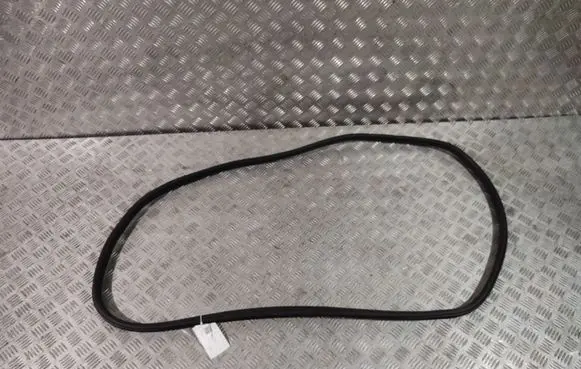 BMW X4 G02 Rear door rubber seal (on body) 7416517