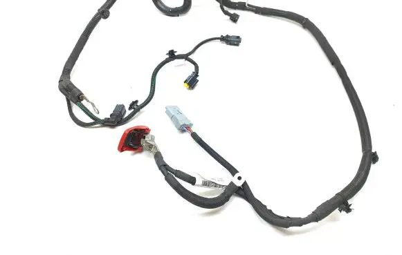 Engine installation wiring loom