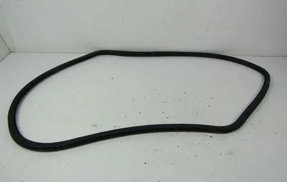 Volkswagen PASSAT B6 Front door rubber seal 