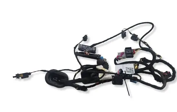 Volkswagen PASSAT CC Rear door wiring loom 3C8971693AN