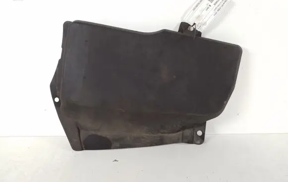 Engine bonnet/hood lock trim molding