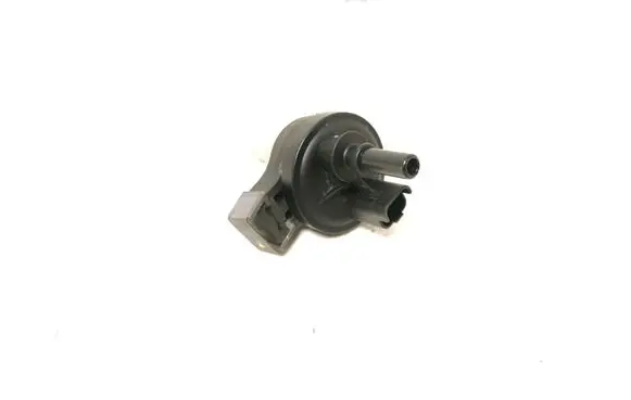 Dacia Duster II Valve 8200248821