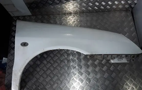 Citroen Xsara Fender