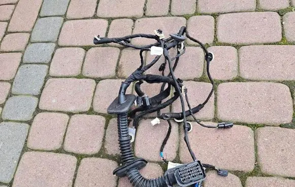 Renault Captur II Front door wiring loom 241240737R