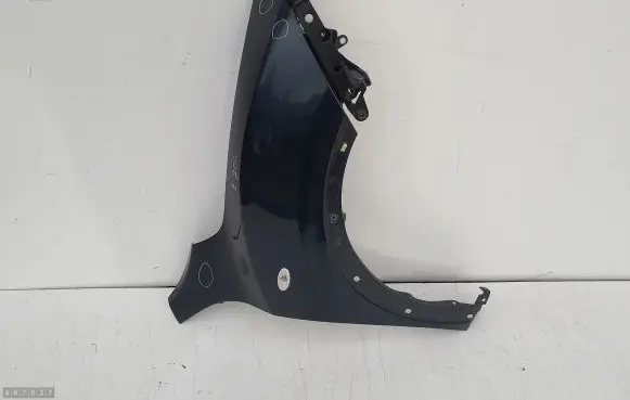 Nissan Juke I F15 Fender