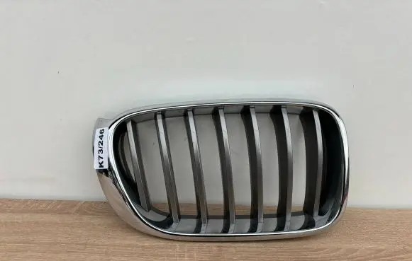 BMW X3 F25 Front grill 51117210726
