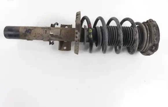 Volkswagen Polo IV 9N3 Front shock absorber with coil spring