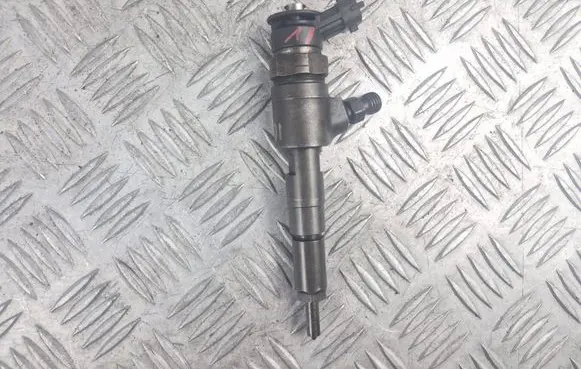 Peugeot 307 Fuel injector 0445110135 0125460