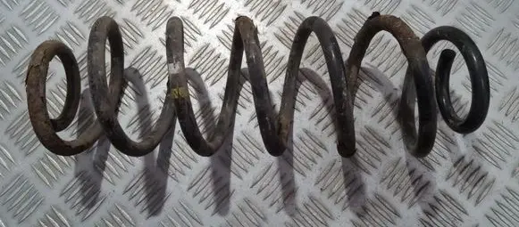 Volkswagen Golf V Rear coil spring