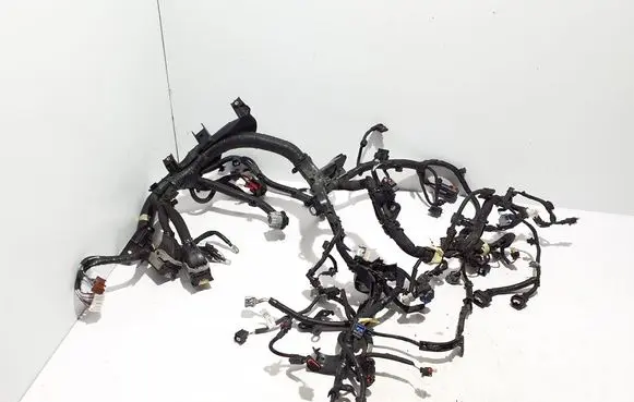 Renault Austral Engine installation wiring loom 240119647S