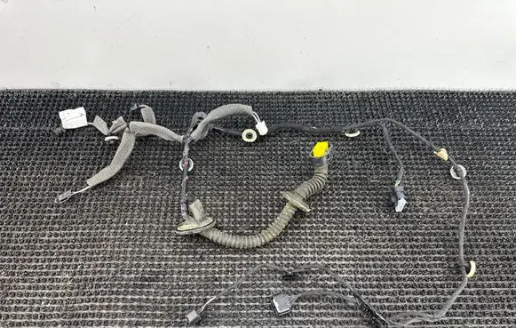 Renault Scenic IV - Grand scenic IV Rear door wiring loom 241270171R
