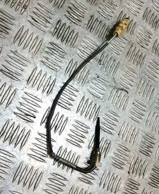 Exhaust gas temperature sensor