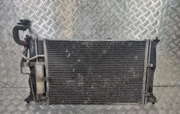Mazda 5 Radiator set 4220007984