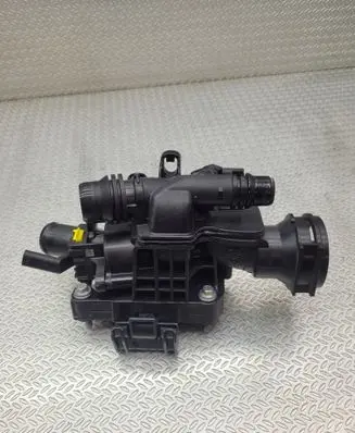 Thermostat/thermostat housing