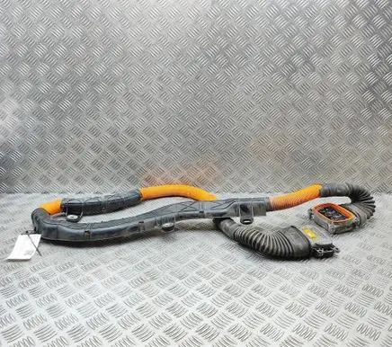 BMW 3 F30 F35 F31 Other wiring loom 6809228 6824116