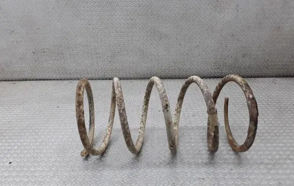 Mitsubishi Pajero Pinin Rear coil spring