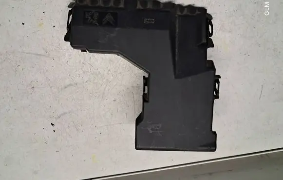Peugeot 508 Fuse box cover 9666817180