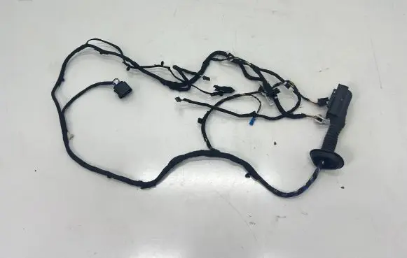 BMW 4 F36 Gran coupe Front door wiring loom 9325884 6234158