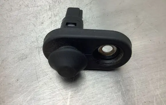 Lexus RX 330 - 350 - 400H Front door sensor