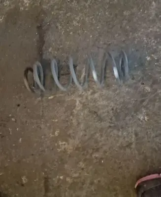 Honda Civic Rear coil spring