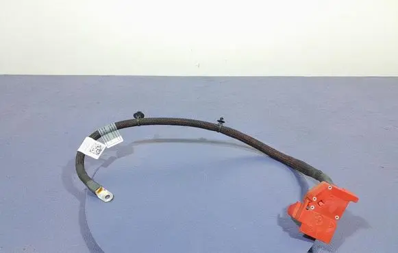 BMW X5 E53 Other wiring loom 6993080