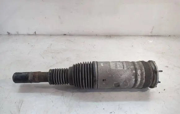 Land Rover Range Rover Sport L494 Air suspension front shock absorber DPLA3C285AF