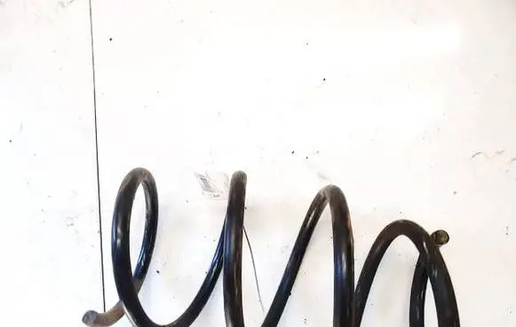 BMW X3 E83 Front coil spring