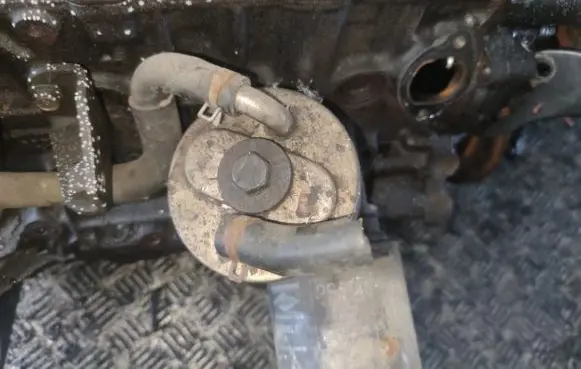 Nissan Primera Engine oil radiator 