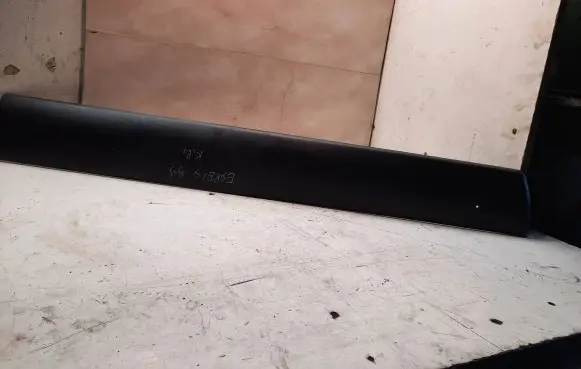 Front door trim (molding)