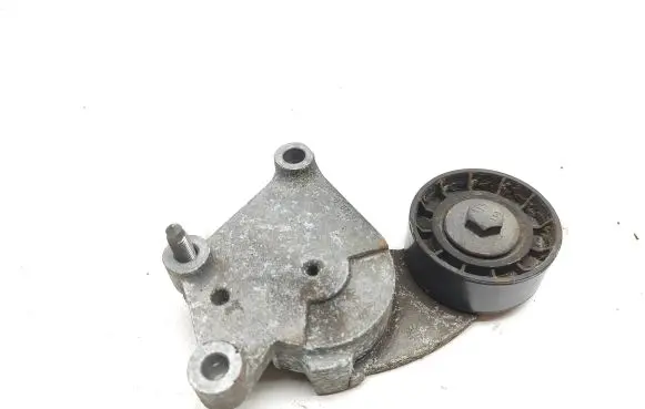 Citroen C4 Aircross Generator/alternator belt tensioner 846143