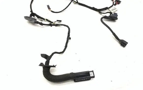 Other wiring loom