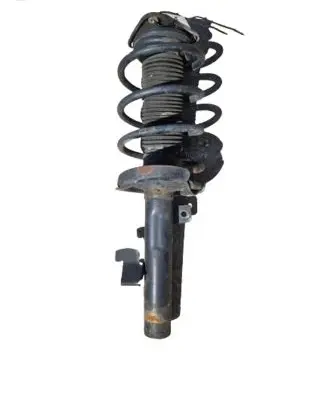 Ford Focus Rear shock absorber/damper