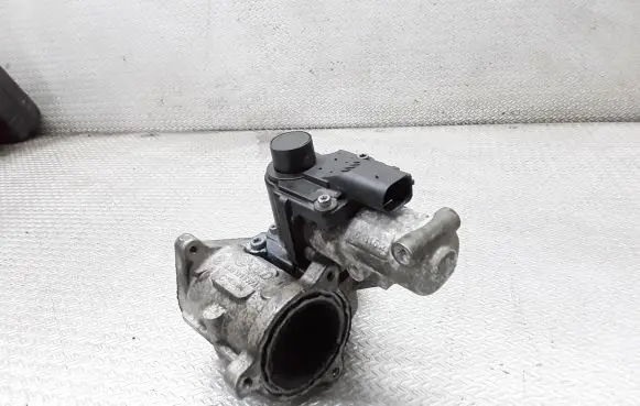 EGR valve