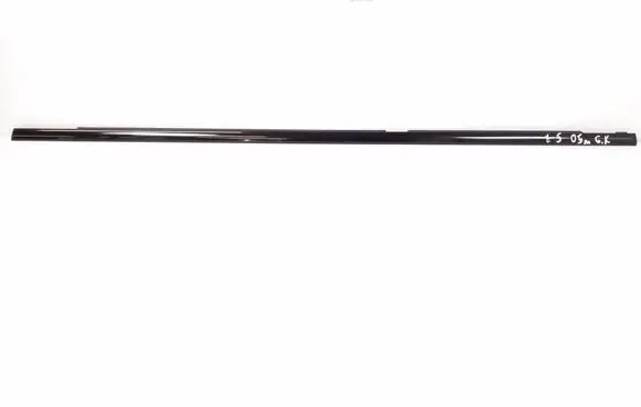 BMW X5 E53 Rear door trim (molding) 6156931
