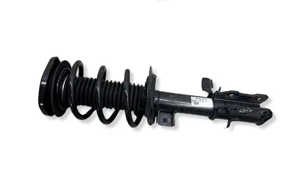 Ford Kuga III Front shock absorber/damper LX6118045SBE