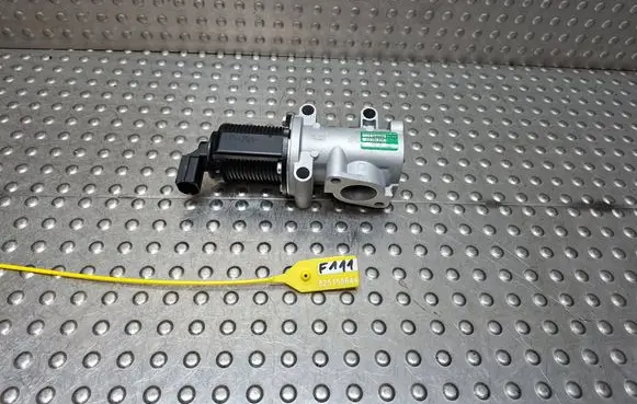 EGR valve