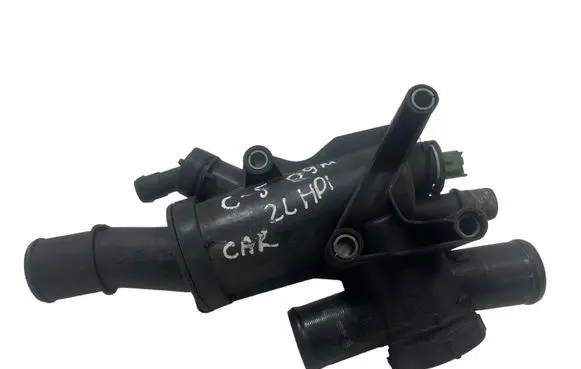 Thermostat/thermostat housing