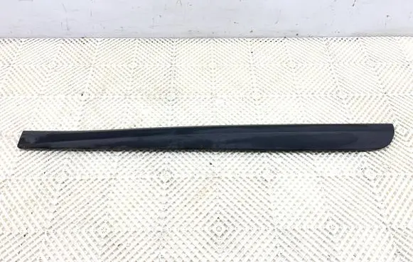 Renault Megane III Front door trim (molding) 808770003R