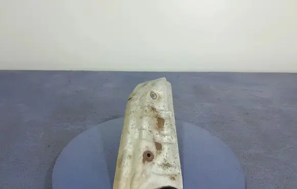 Exhaust heat shield