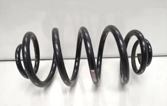 Rear coil spring