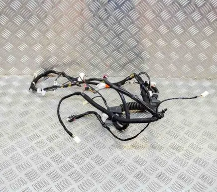 Tesla Model Y Other wiring loom 148905500C P148905500C
