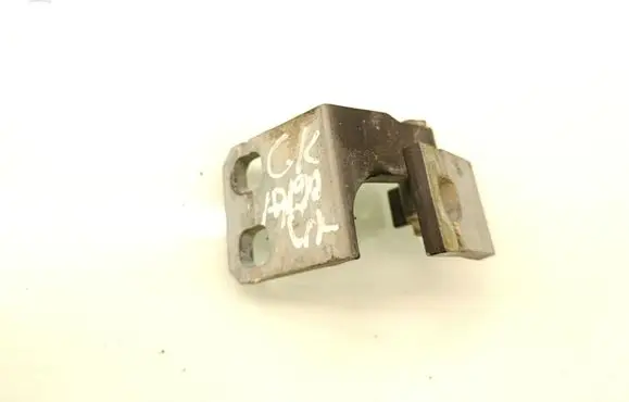 Rear door lower hinge